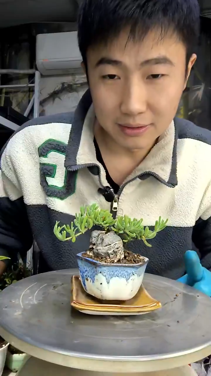 帅**粑中青园艺一物一拍花274