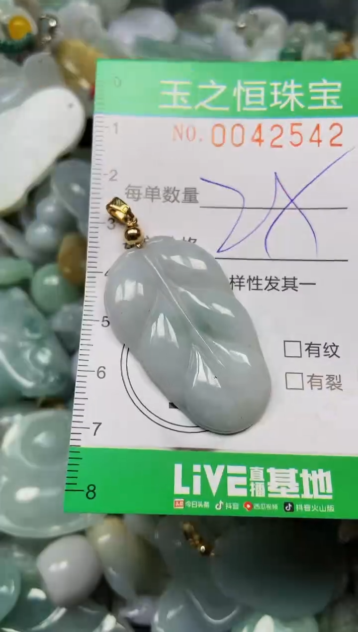 【闪购商品】翡翠颈饰未镶嵌闪购0042542
