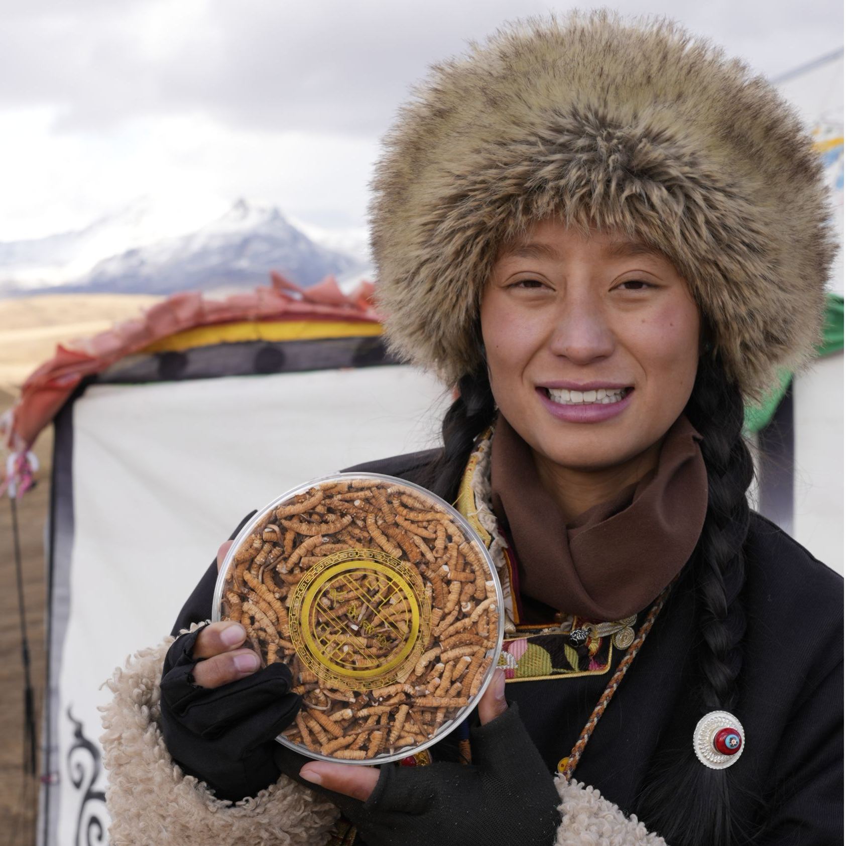 【拉姆精选】50克一级带草头断草 当季头茬  正宗冬虫夏草 滋补自用