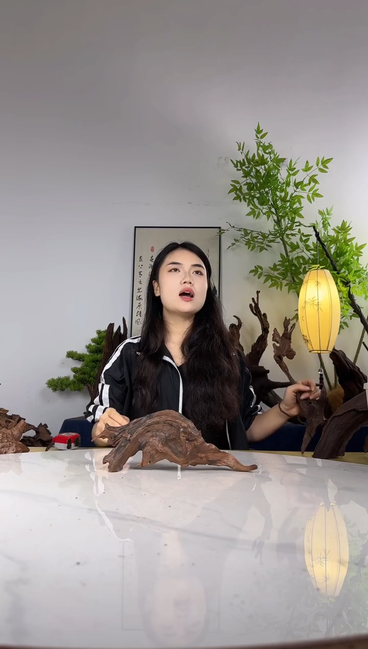 二**跑拍这个定向编号95