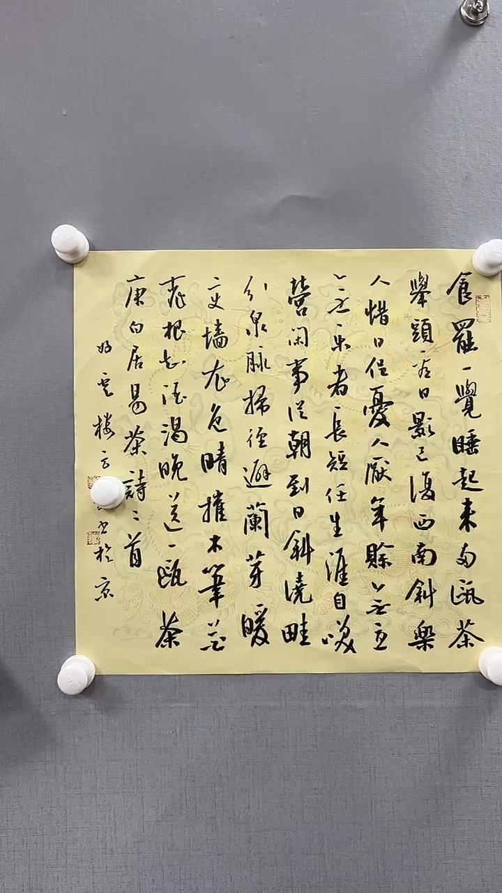 【闪购商品】书法雅艺典藏文化书法