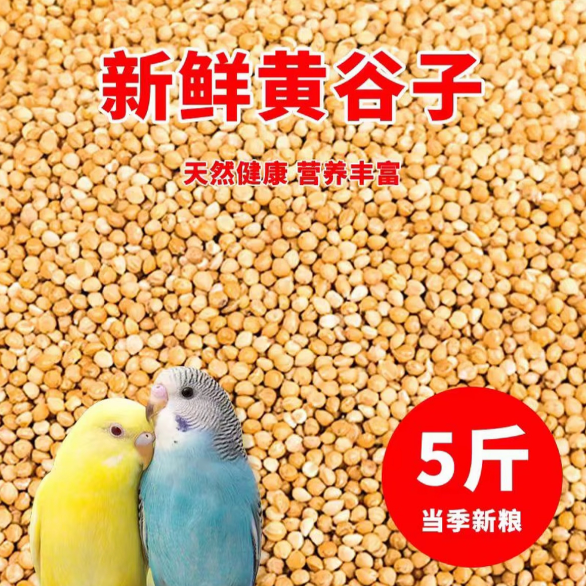 虎皮鹦鹉专用鸟粮，吃完各个圆墩墩肥嘟嘟  C