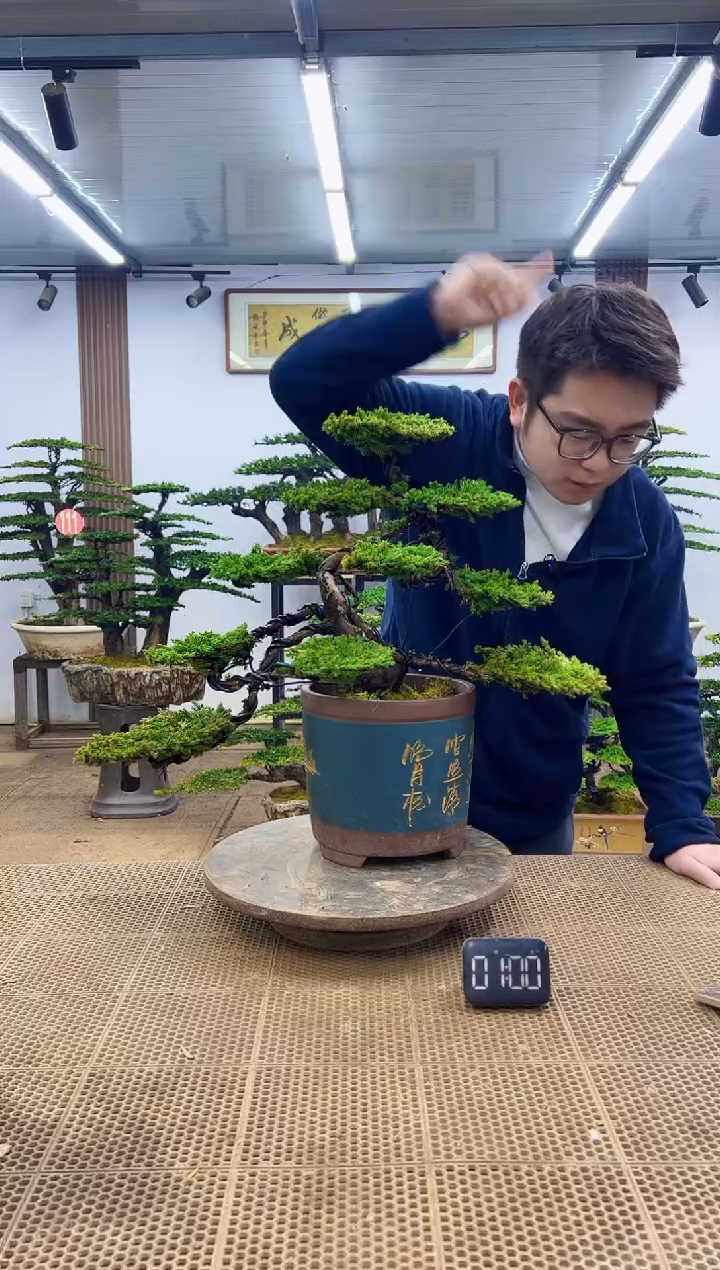 无花朵000000000000