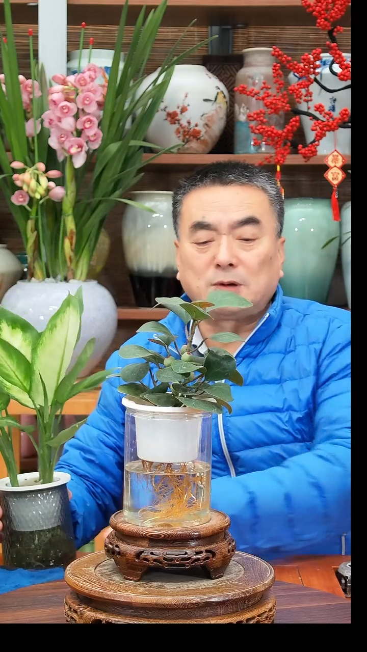 无花朵周*二水之韵水培菩提