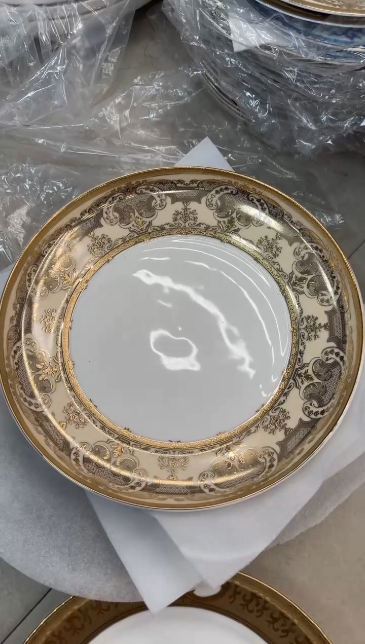 【闪购商品】瓷片12英寸窝盘福利款微瑕 最后一个