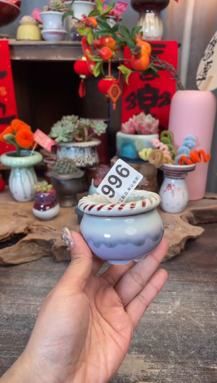 【闪购商品】摆件996知木小芳花盆