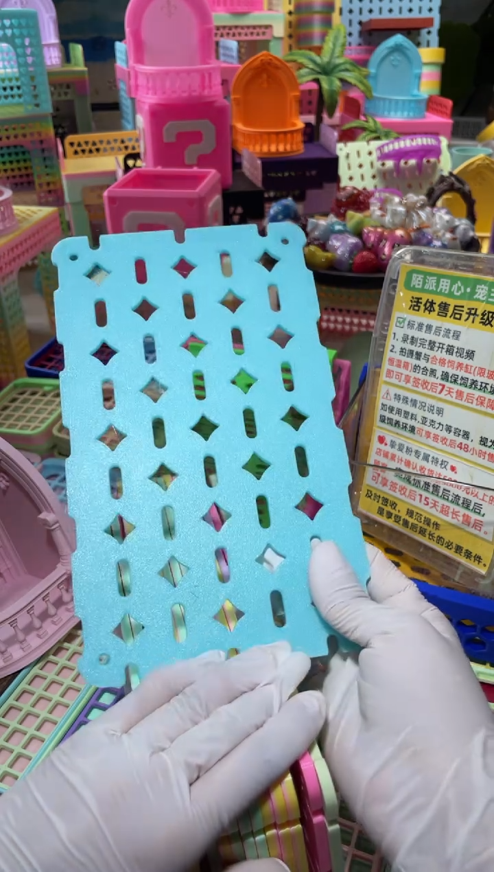 刘****?陌派有钳寄居蟹2022