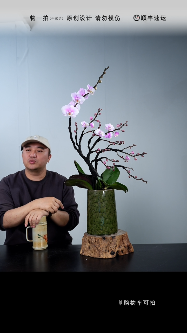 【闪购商品】089号链接【一物一拍】艺术盆景