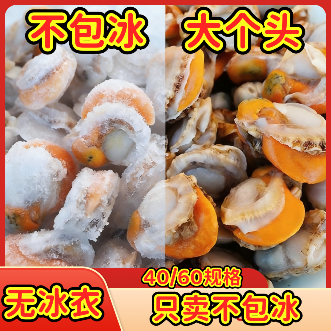 复购【不包冰】扇贝肉40/60规格大个头带膏带黄生鲜无冰衣
