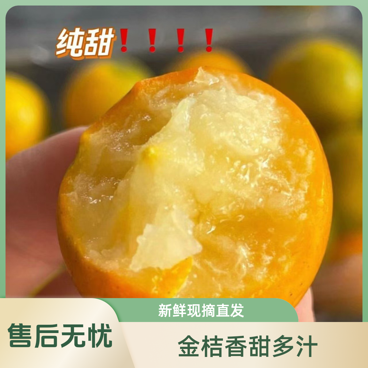 脆皮小金桔（又脆又甜）约500g