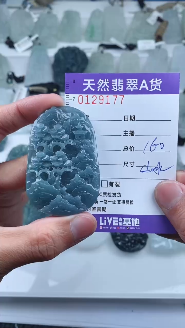 【闪购商品】翡翠颈饰未镶嵌       177