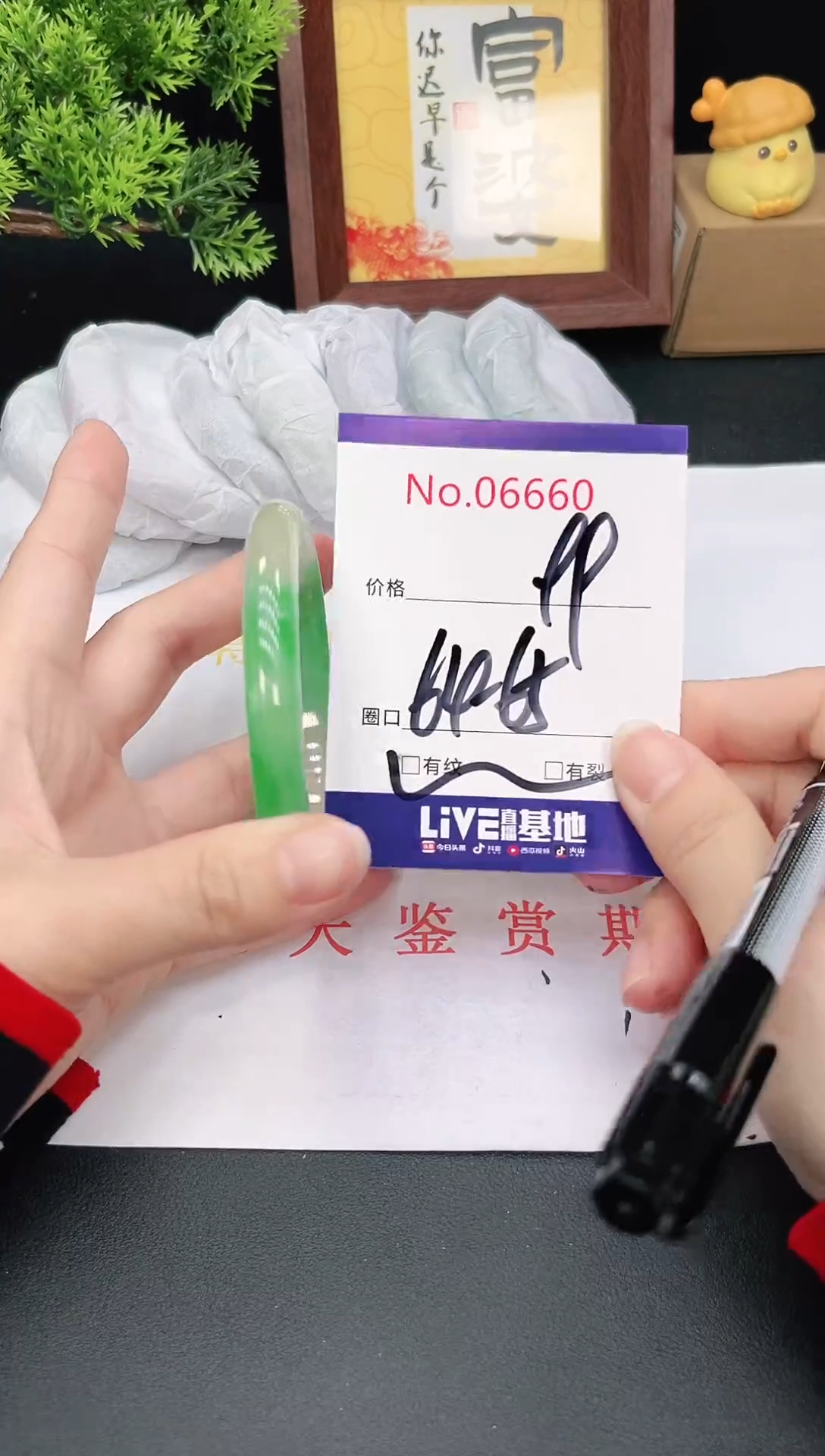 未镶嵌手镯翡翠6660