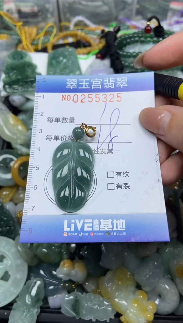 颈饰未镶嵌翡翠闪购C0255325