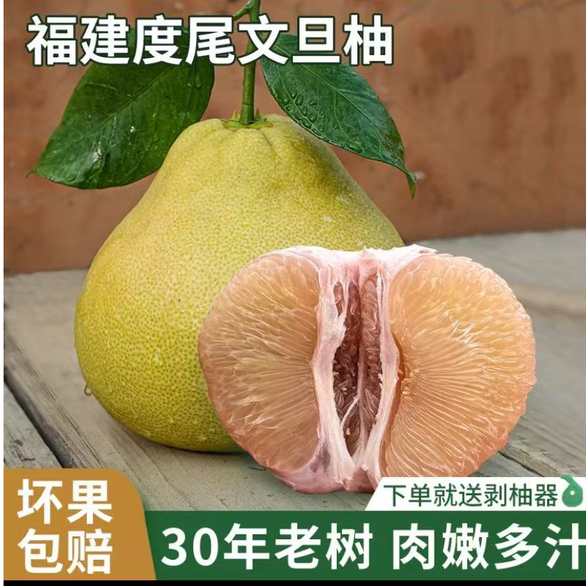 正宗老树度尾红心文旦柚子现摘现发