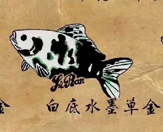 观赏鱼一条