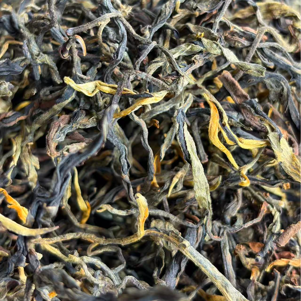 2025年勐库东半山春尾混采晒红散茶500克1月3日-【1号品】