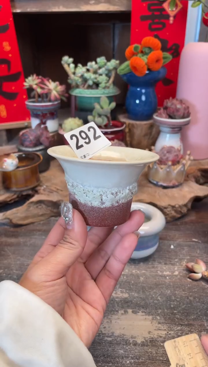【闪购商品】摆件292知木小芳花盆