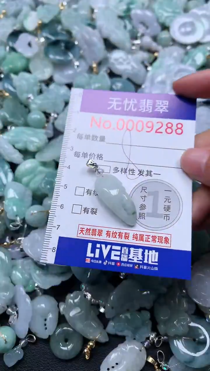 颈饰未镶嵌翡翠9288