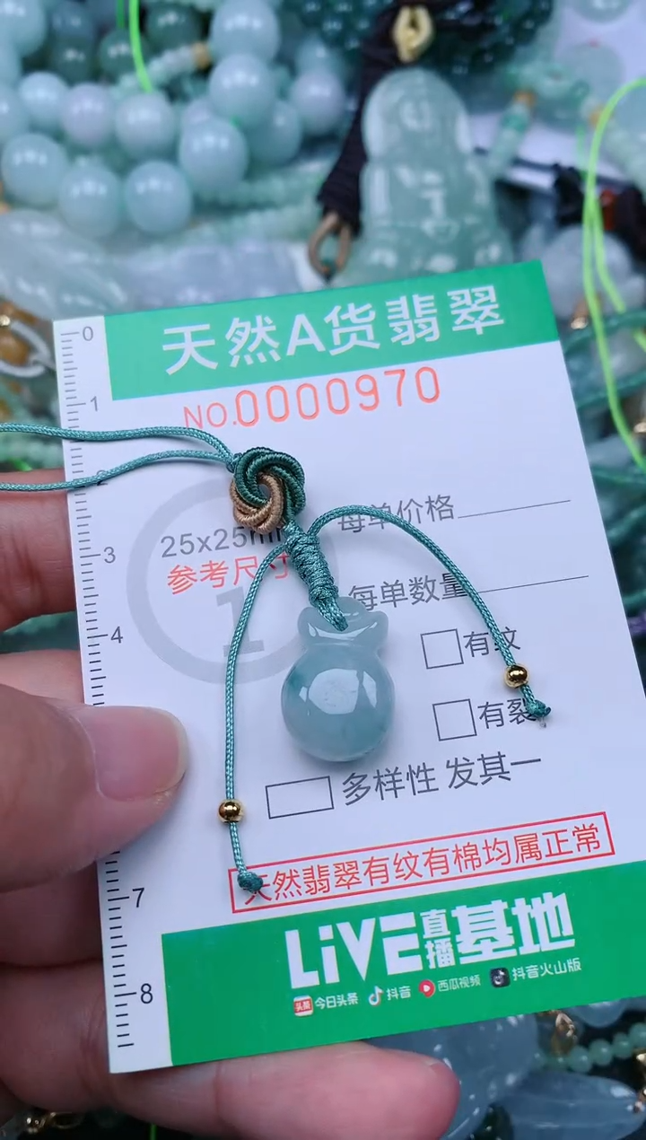 翡翠未镶嵌颈饰.0000970
