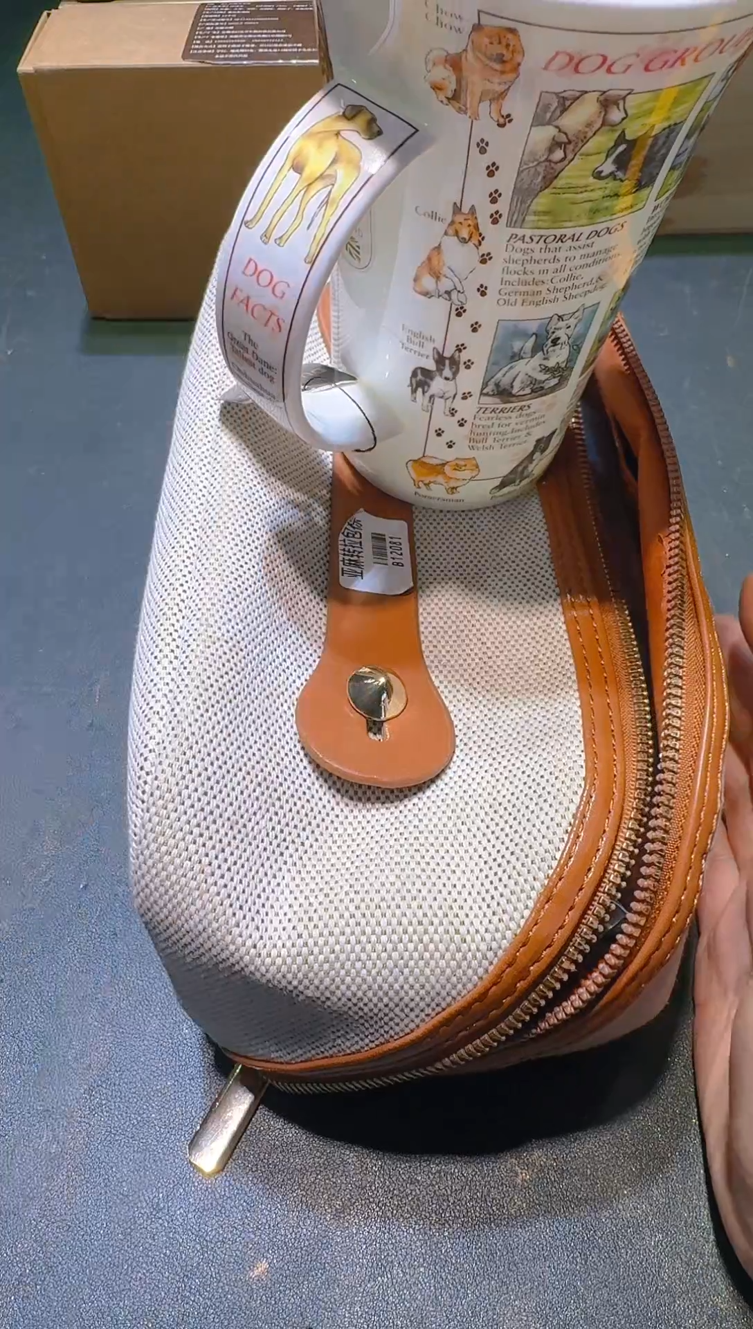 瓷片瓷@1器11111111111@@1