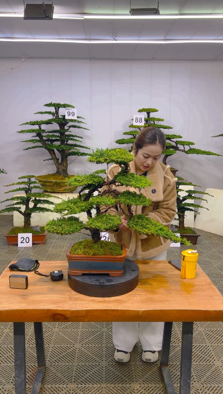 无花朵一物一拍一物一拍