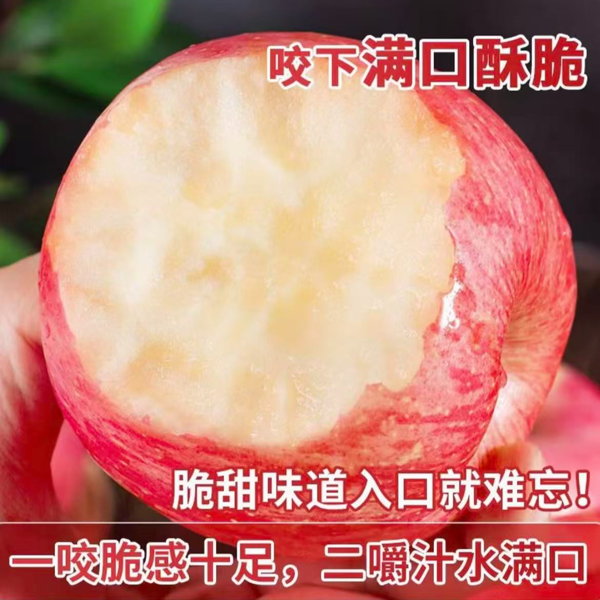 洛川红富士福袋专项试吃装