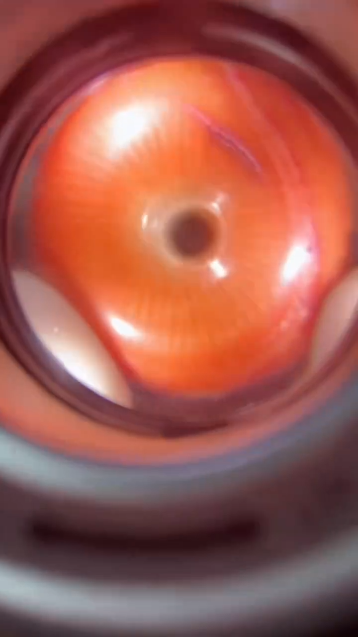 【闪购商品】瓷片闪购商品，如图所示