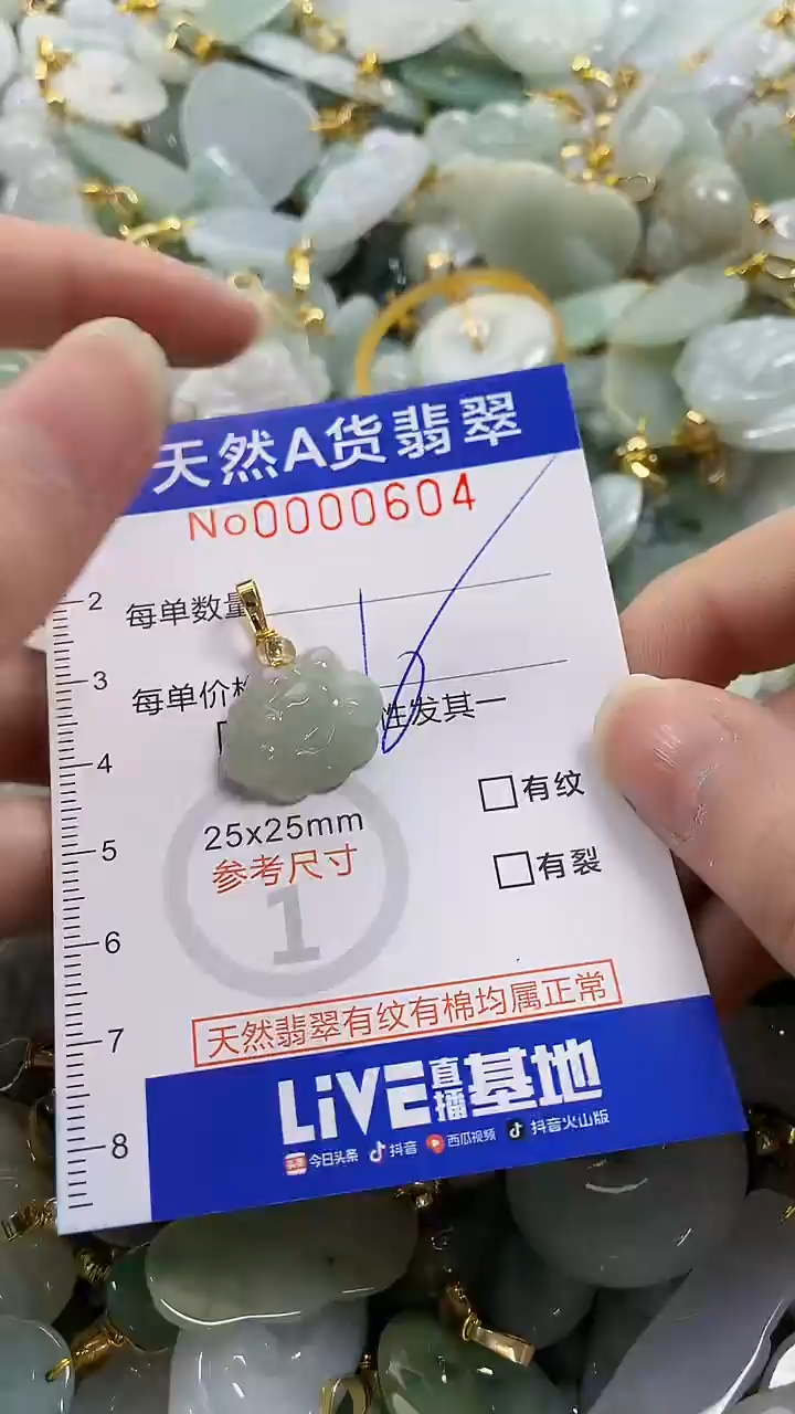 颈饰未镶嵌翡翠纯天然a货翡翠