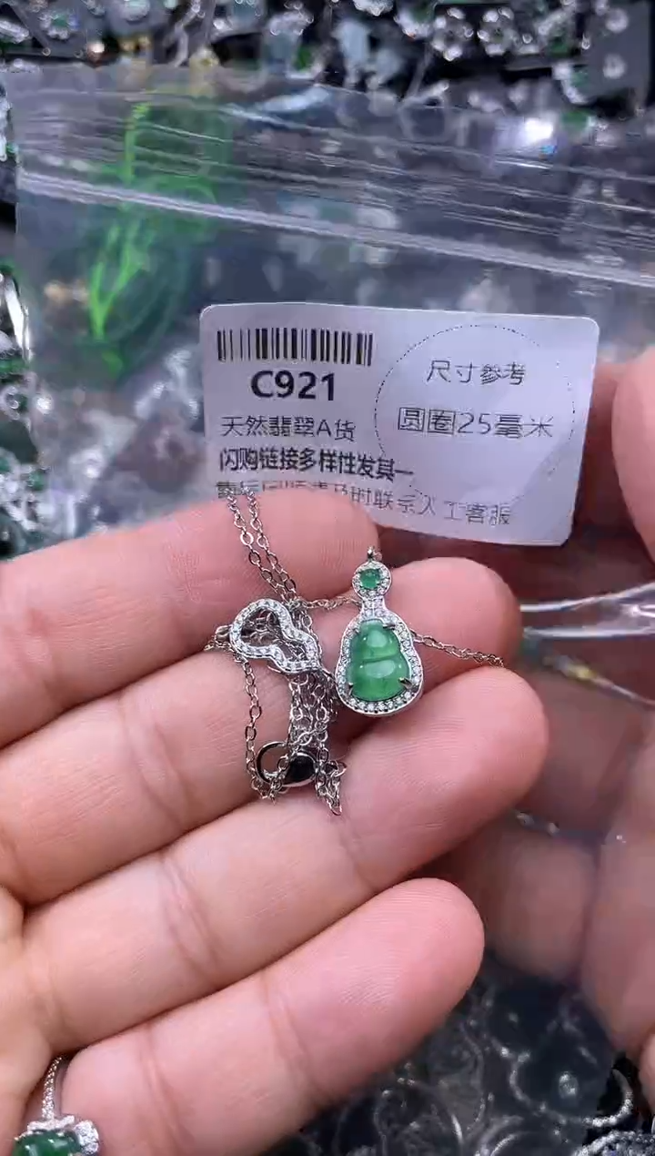 【闪购商品】翡翠颈饰未镶嵌C921项链