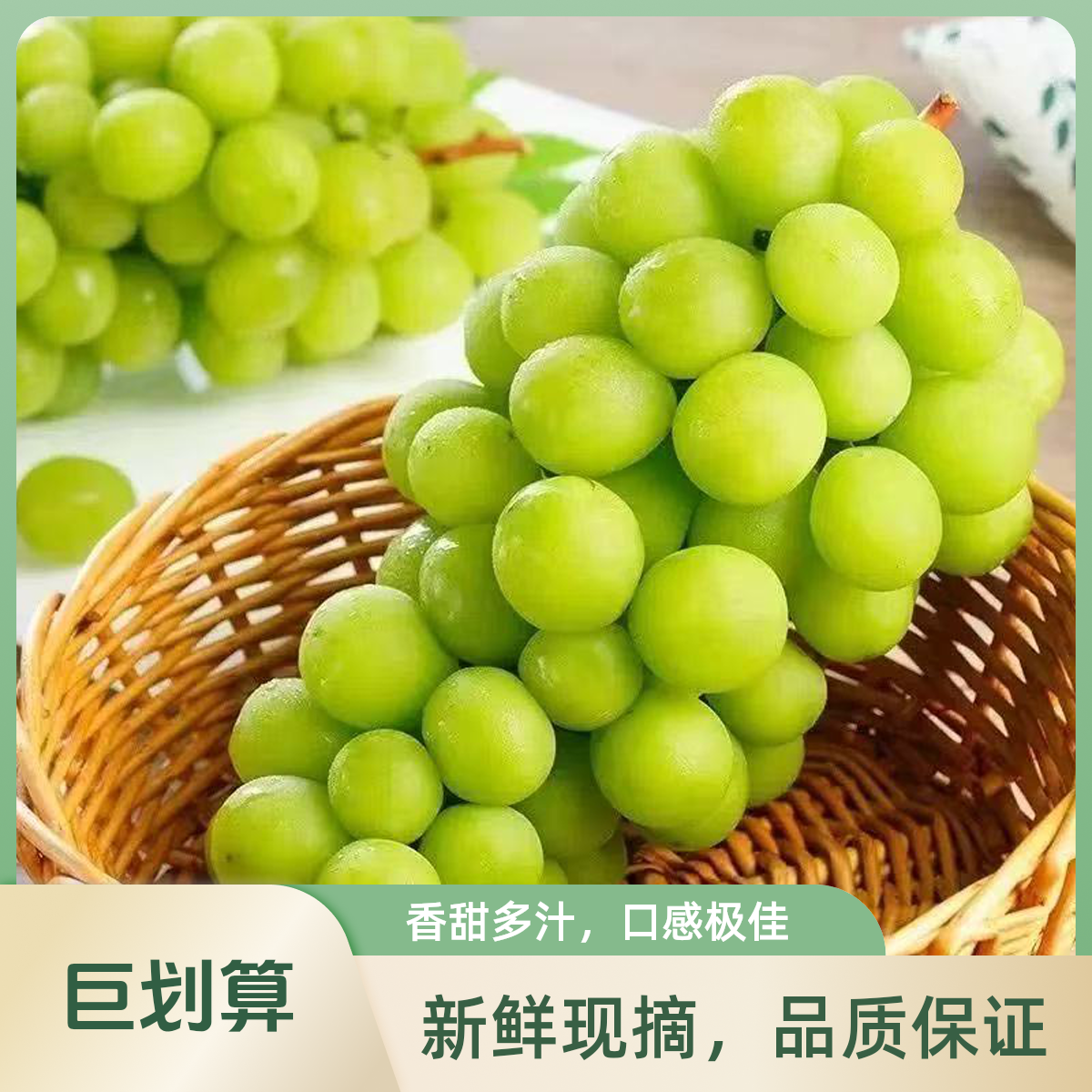 【顺丰次日达】阳光玫瑰新鲜葡萄晴王青提彩箱发当季水晶葡萄江苏省