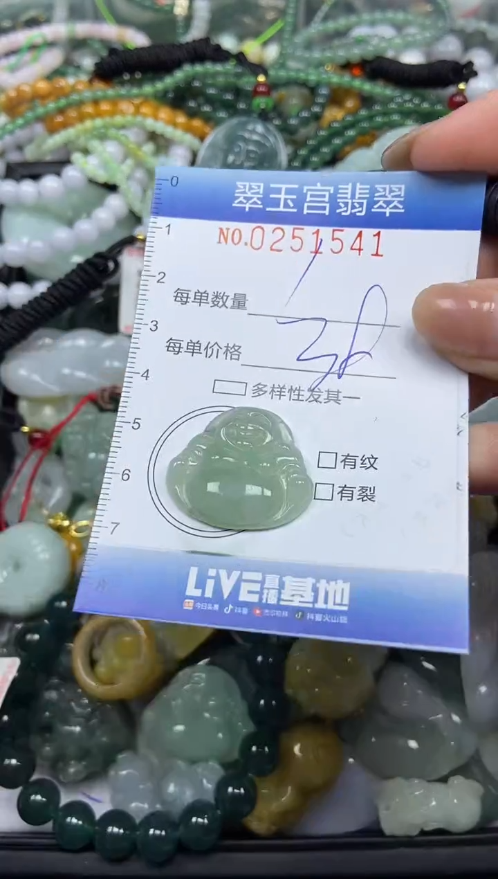 颈饰未镶嵌翡翠闪购C0251541