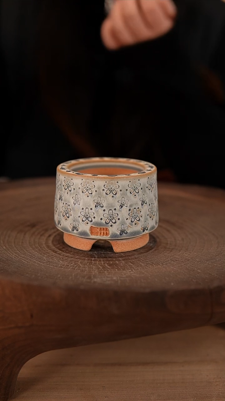 【闪购商品】陶瓷2-26-249默认有瑕口5.5