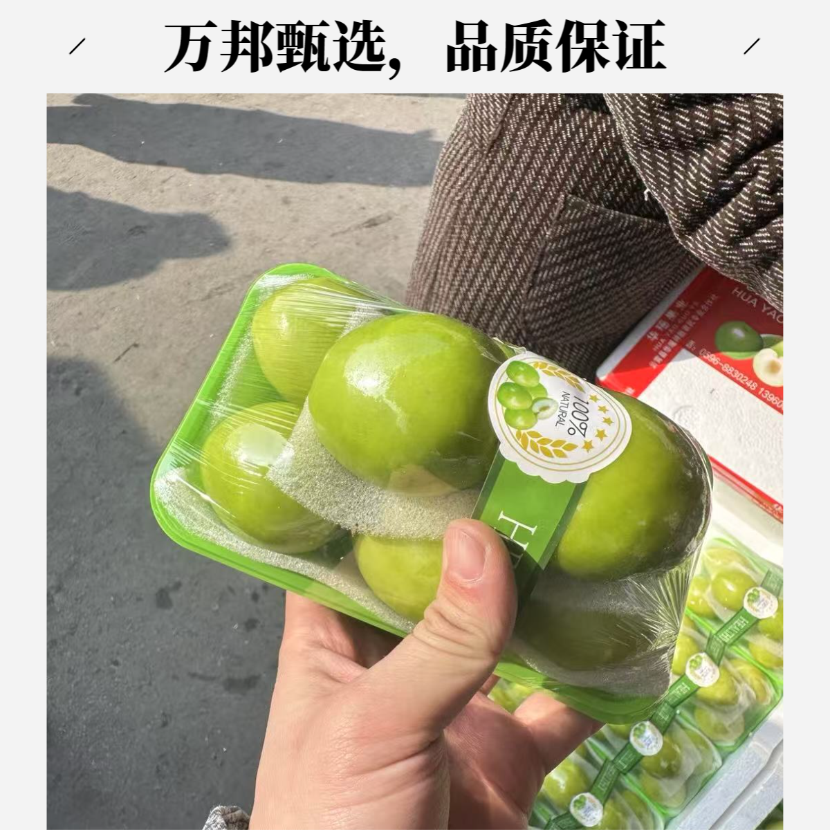 【万邦甄选】福建云霄牛奶枣500g