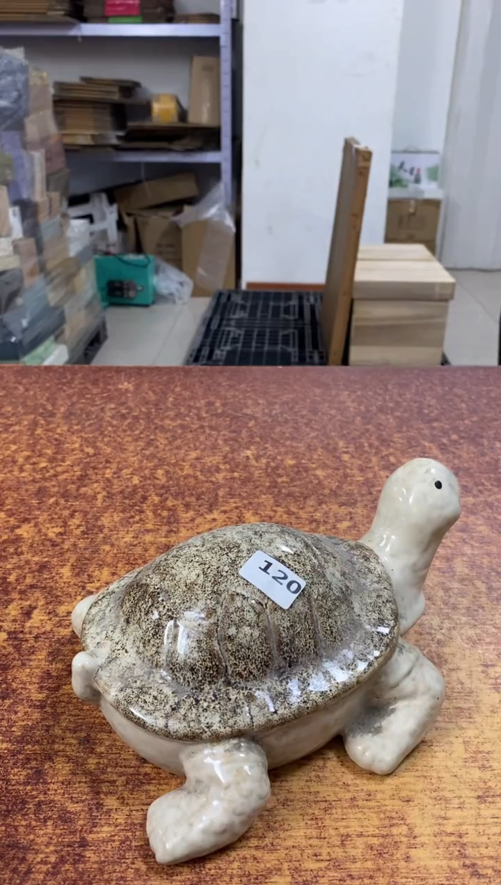 瓷片120小林轩欢迎您