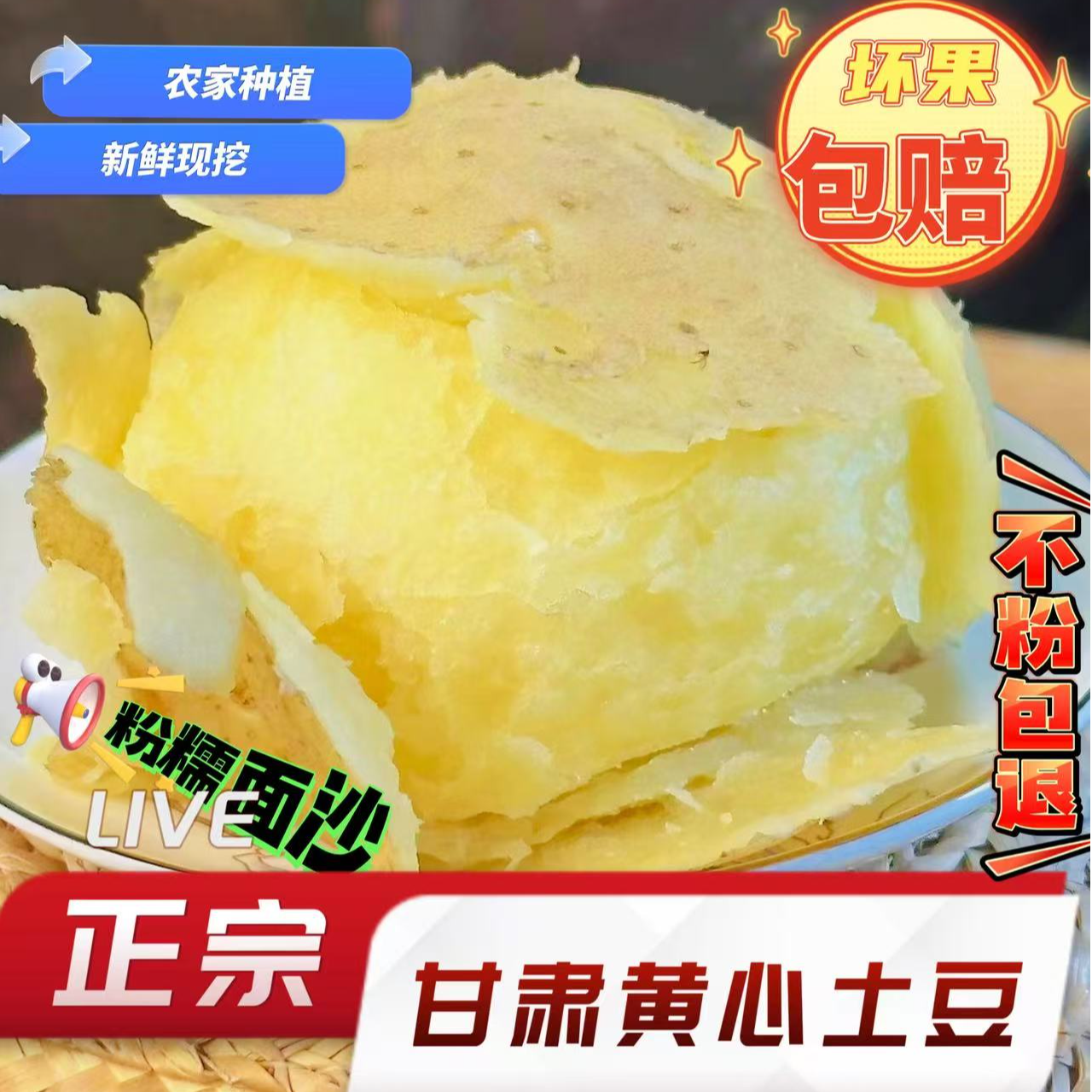 甘肃定西黄皮黄心旱沙地新鲜现挖粉面土豆