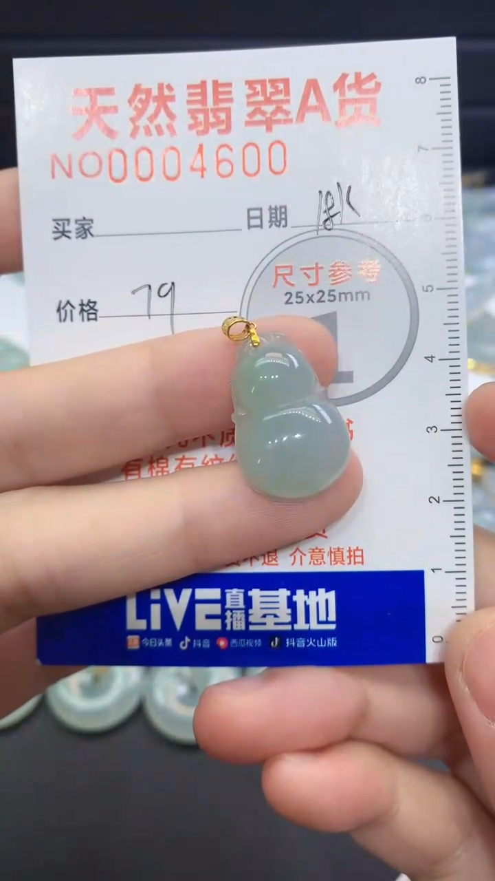 【闪购商品】翡翠颈饰未镶嵌翡翠