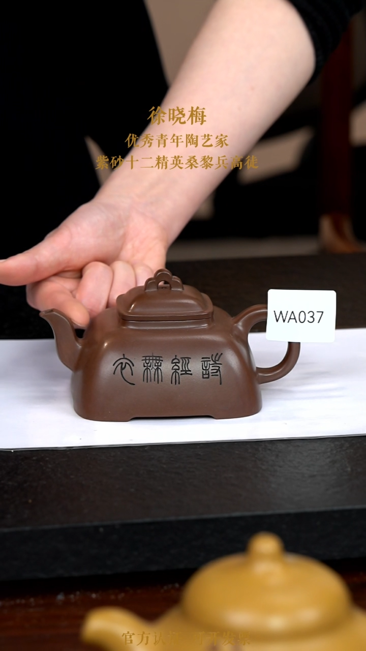 【闪购商品】紫砂茶壶WA037-0118MXX