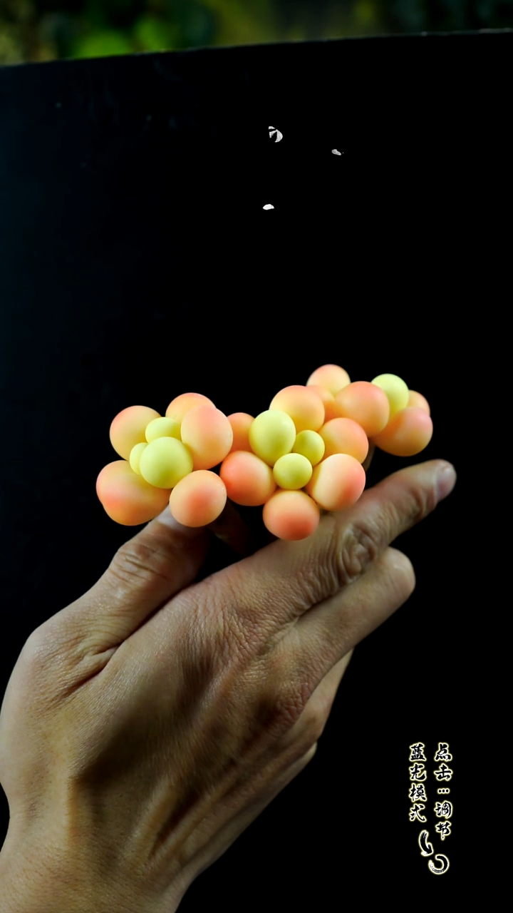 奶酪3只。。。。。。。。。。。