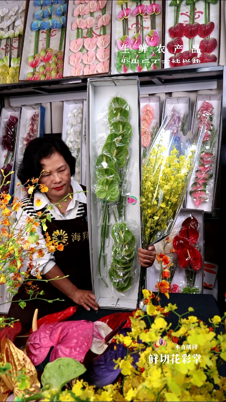 c**o绿掌16支小掌+B级跳舞兰1束，微瑕无售后