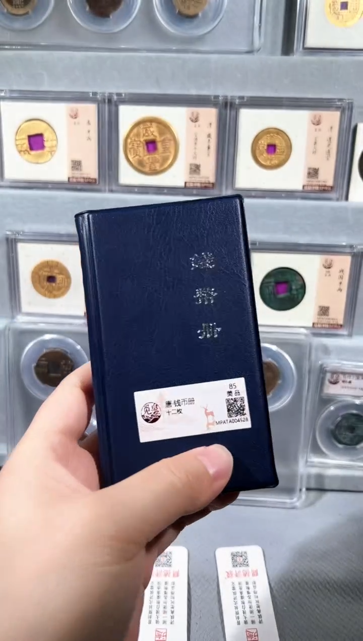 铜带评级开元钱币册共12枚