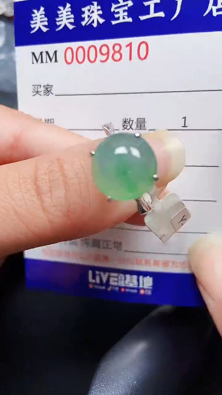 颈饰银S925镶嵌翡翠9810
