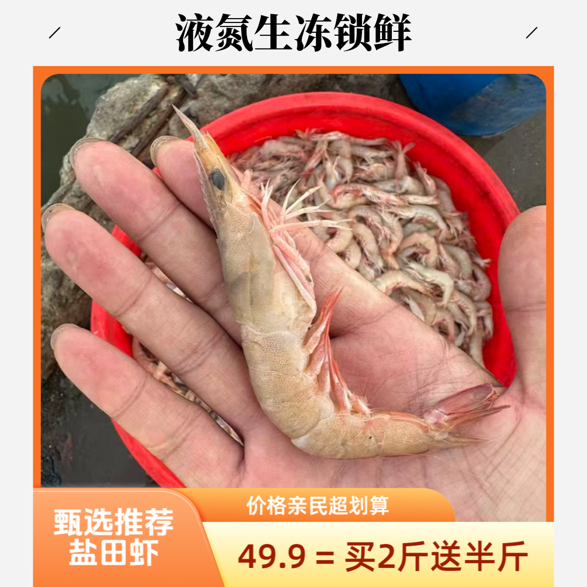 双12 活冻【盐田虾】2斤送半斤 35-45/斤 顺丰包邮 做 虾滑 剥虾仁均可  