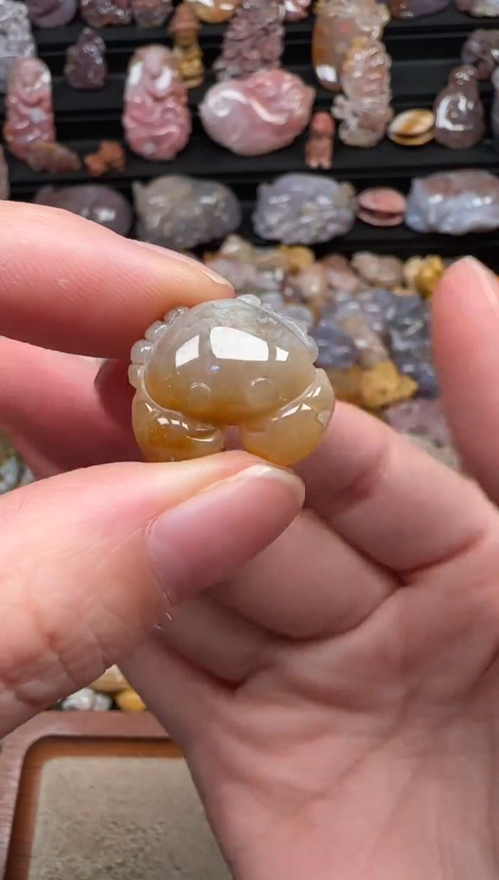 颈饰未镶嵌硅化珊瑚（珊瑚玉）100