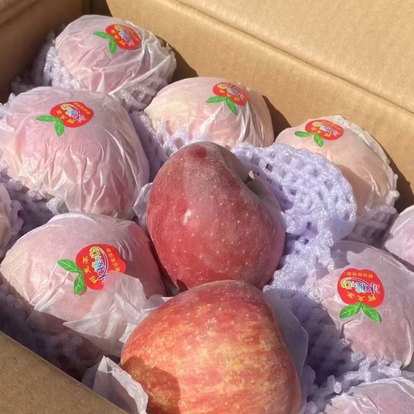 新疆阿克苏苹果（4.7斤）