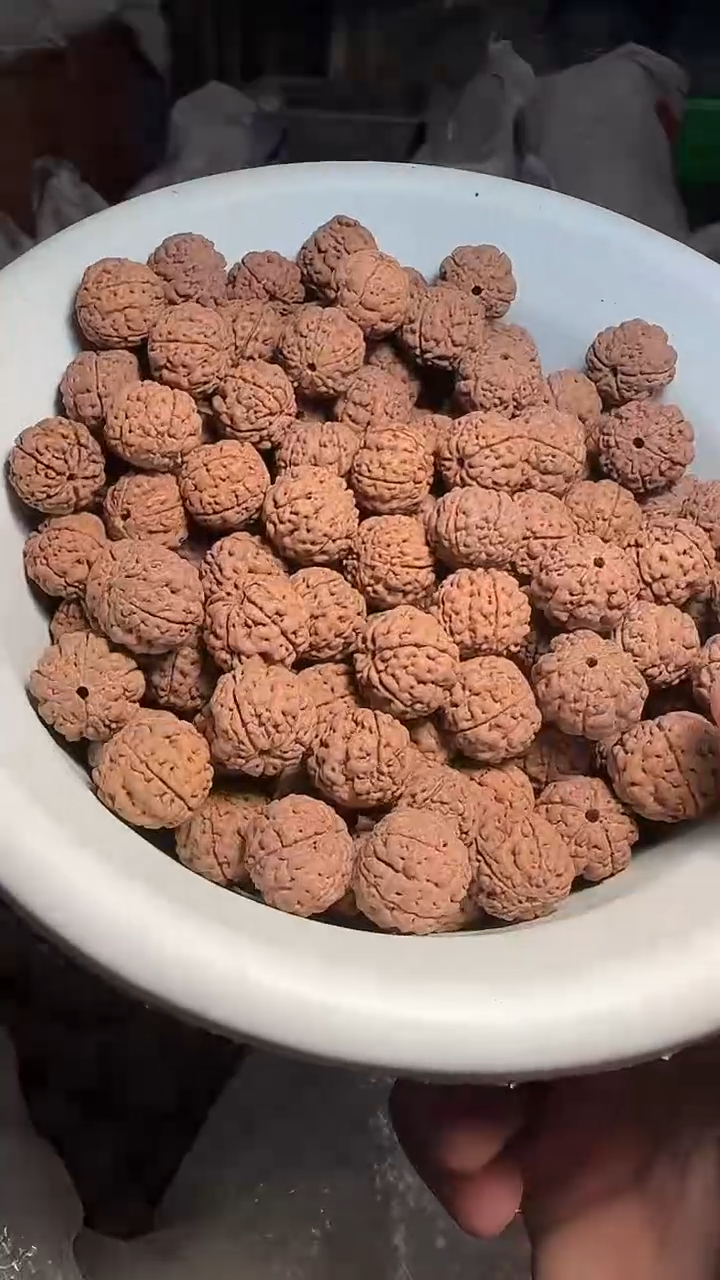 金刚菩提手串微瑕跳跳龙散籽一份一百颗