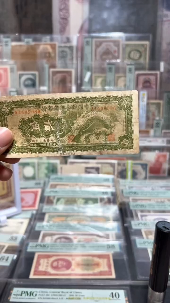 【闪购商品】纸小马直播间包邮福利！！！背有粘贴