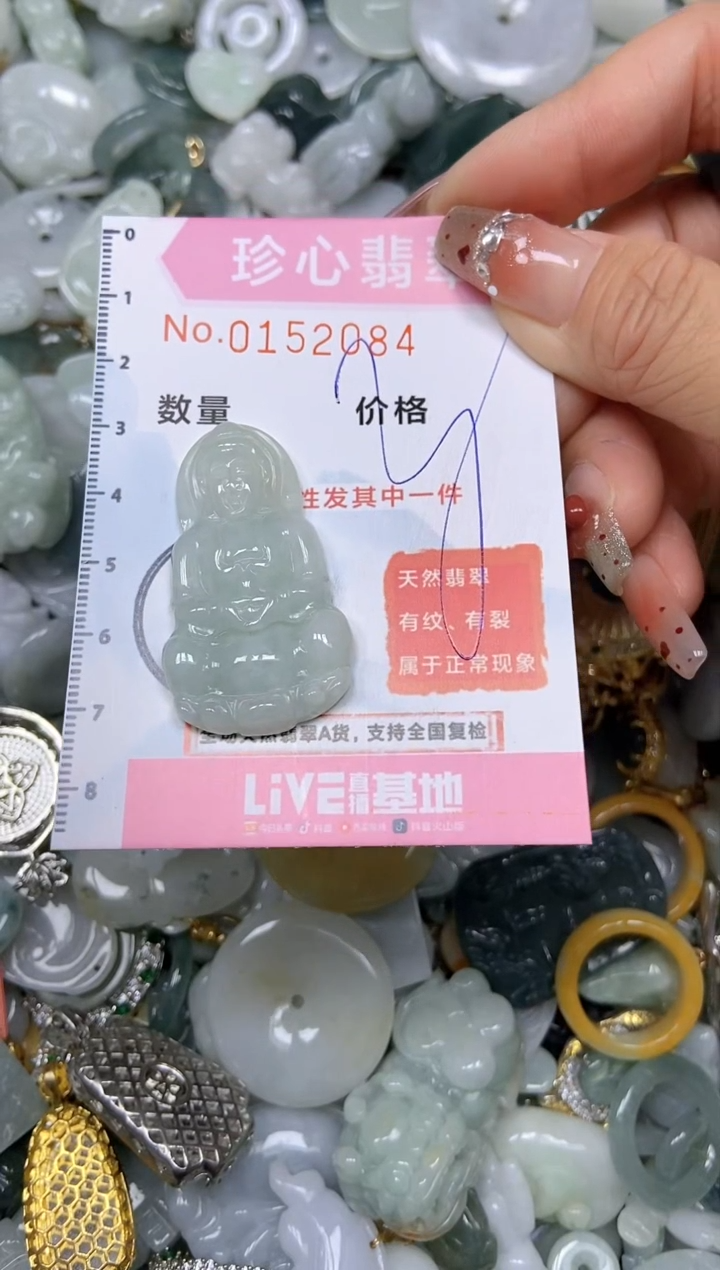 【闪购商品】翡翠颈饰未镶嵌闪购链接0152084
