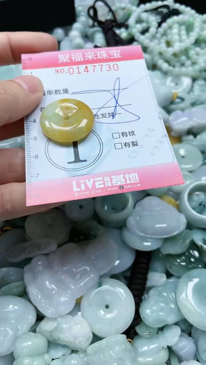 翡翠未镶嵌颈饰闪购0147730