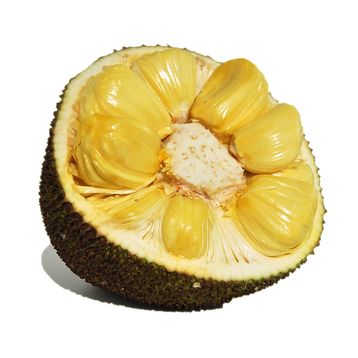 【达吾水果】新鲜到货菠萝蜜整果一个装（8-12斤）(同城骑手配送到家)