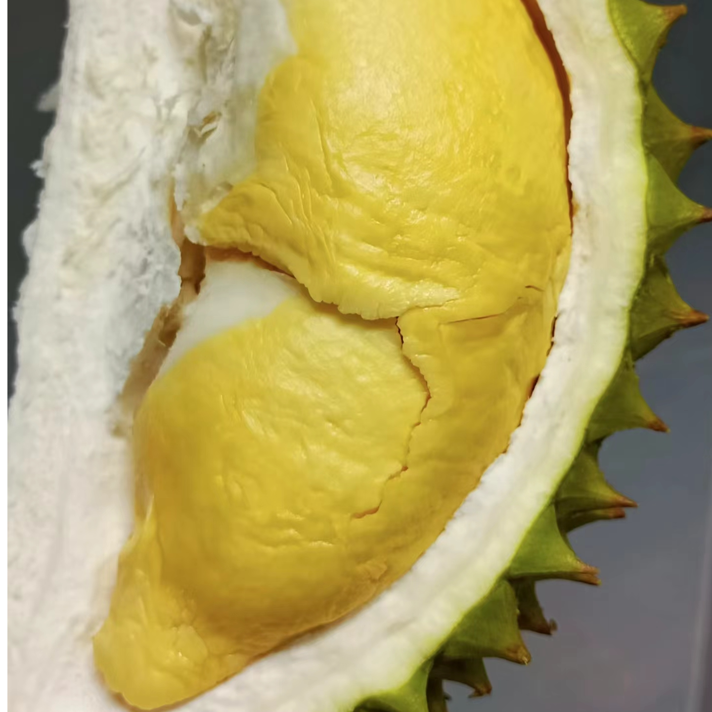 【金腰榴莲】【整果】金腰鲜榴莲鲜果2-10斤整果杭州同城配送 风味足甜度高 核大/小猫山王口感金腰越南